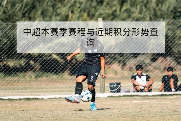 西甲赛季进球分布与主场净胜球统计查询